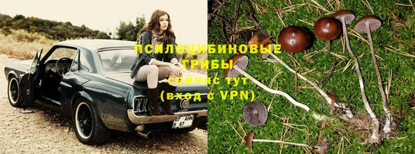 гашиш Богородск