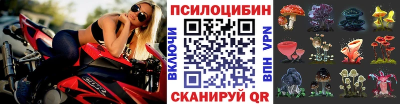hydra зеркало  Межгорье  Псилоцибиновые грибы Psilocybe  где продают  
